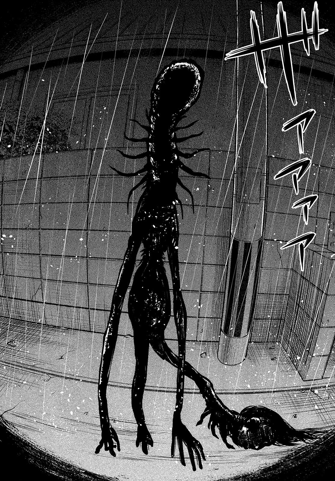 Page 24 of Chapter 51