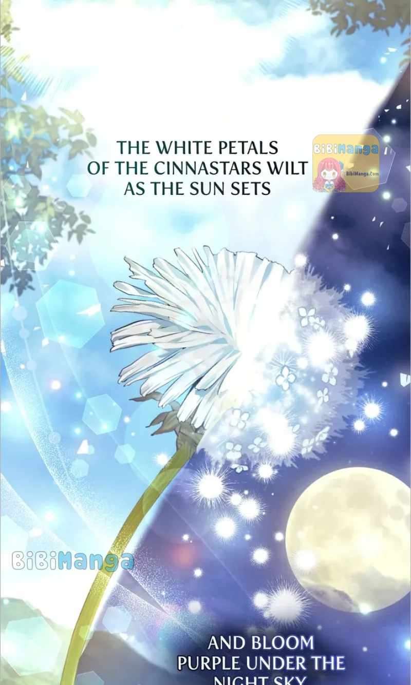 Page 62 of Chapter 19