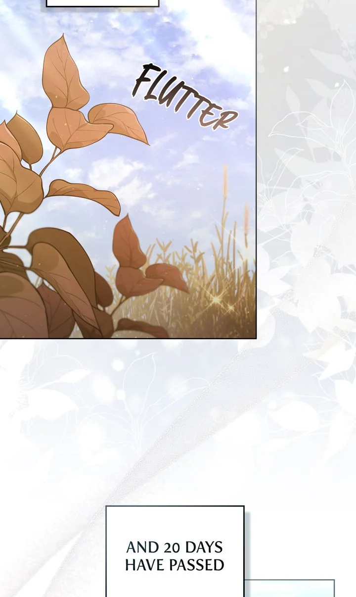 Page 44 of Chapter 55