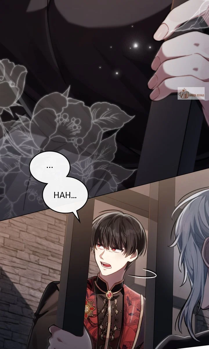 Page 13 of Chapter 71