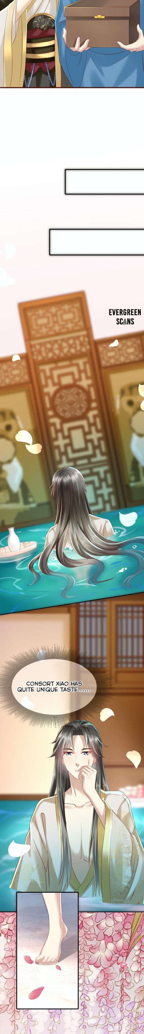 Page 5 of Chapter 12