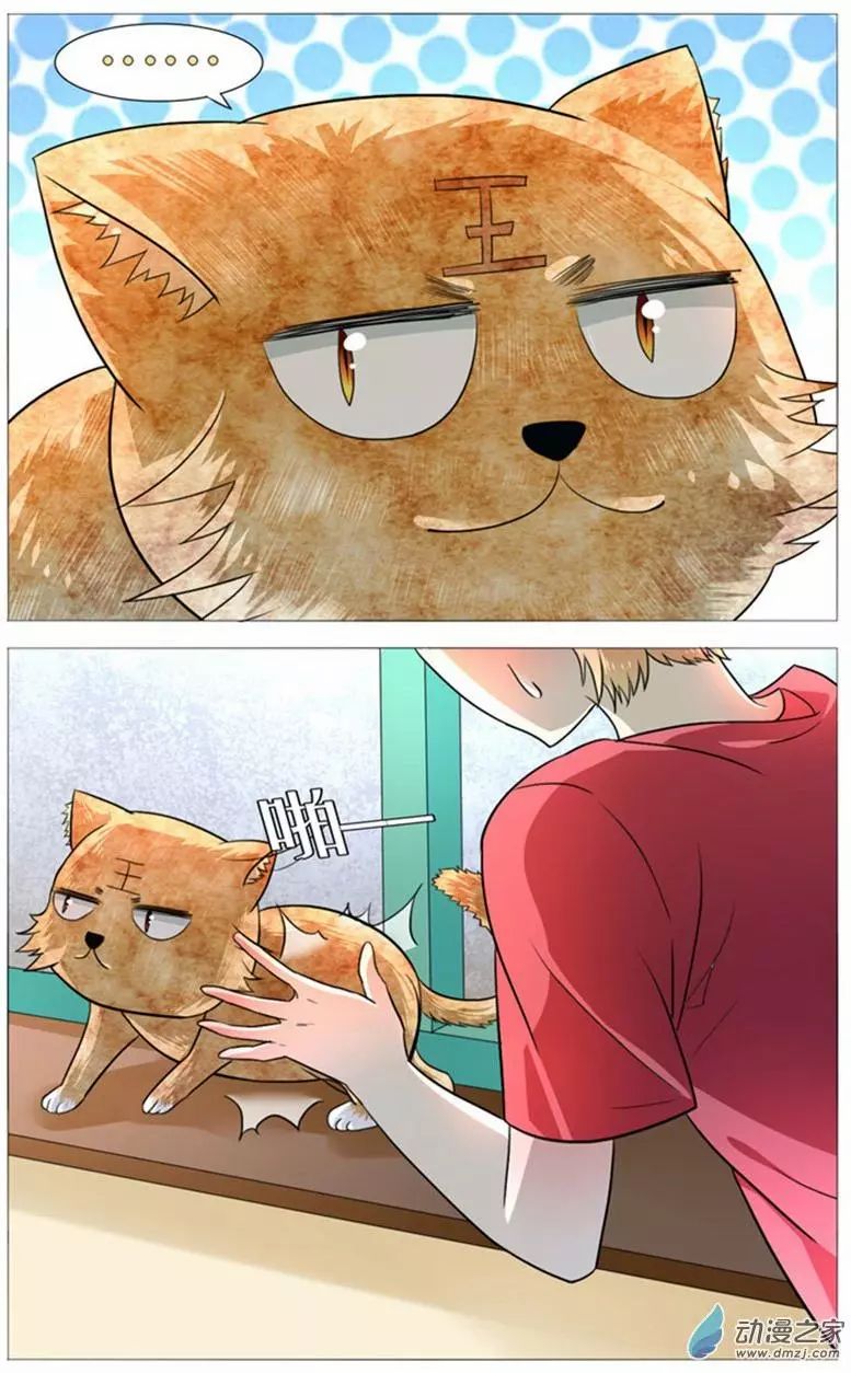 Page 11 of Chapter 50