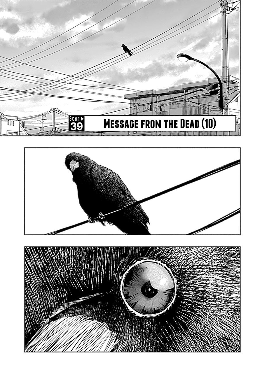 Page 2 of Chapter 39