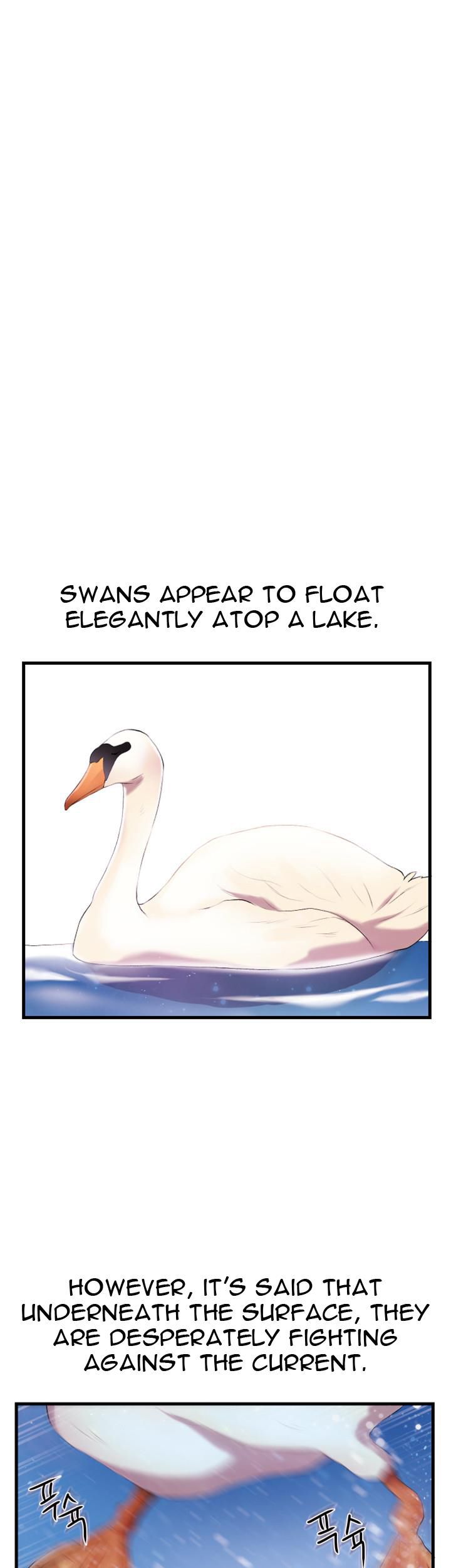Page 22 of Chapter 1