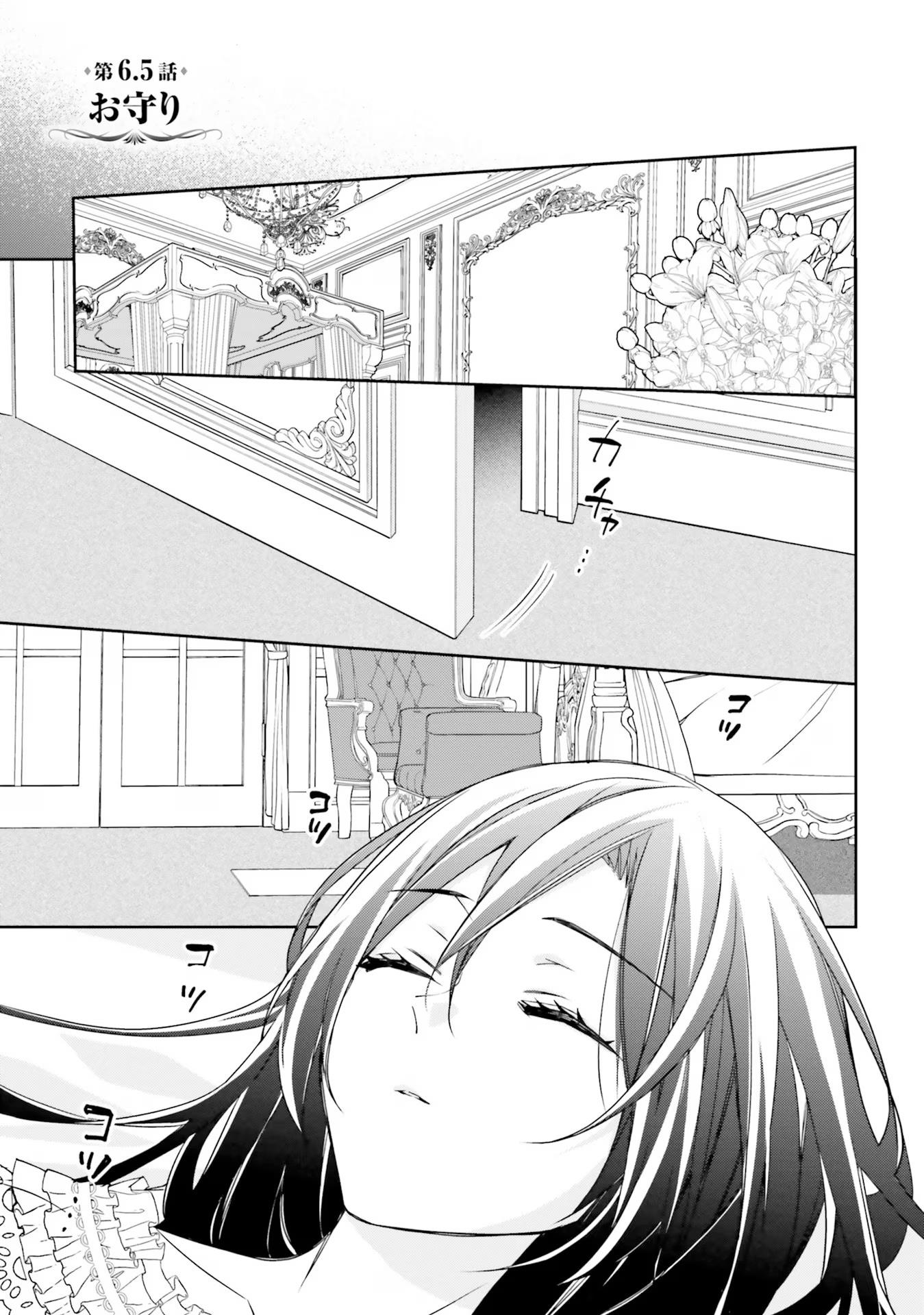 Page 1 of Chapter 6.5
