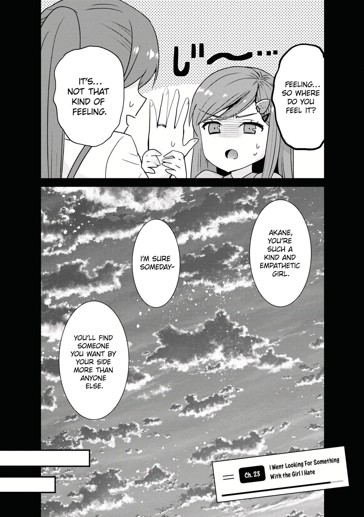 Page 4 of Chapter 23.1