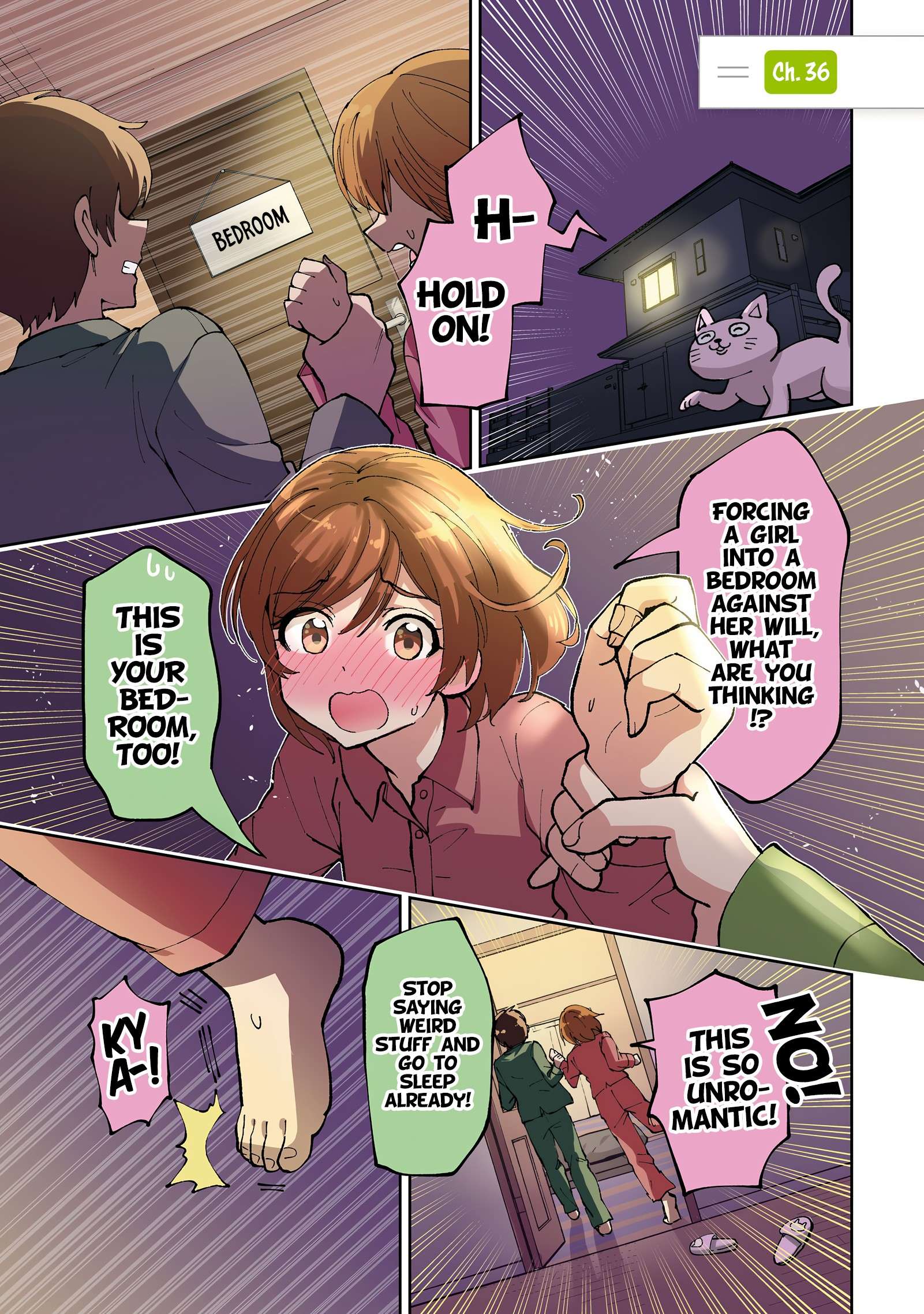 Page 2 of Chapter 36.1