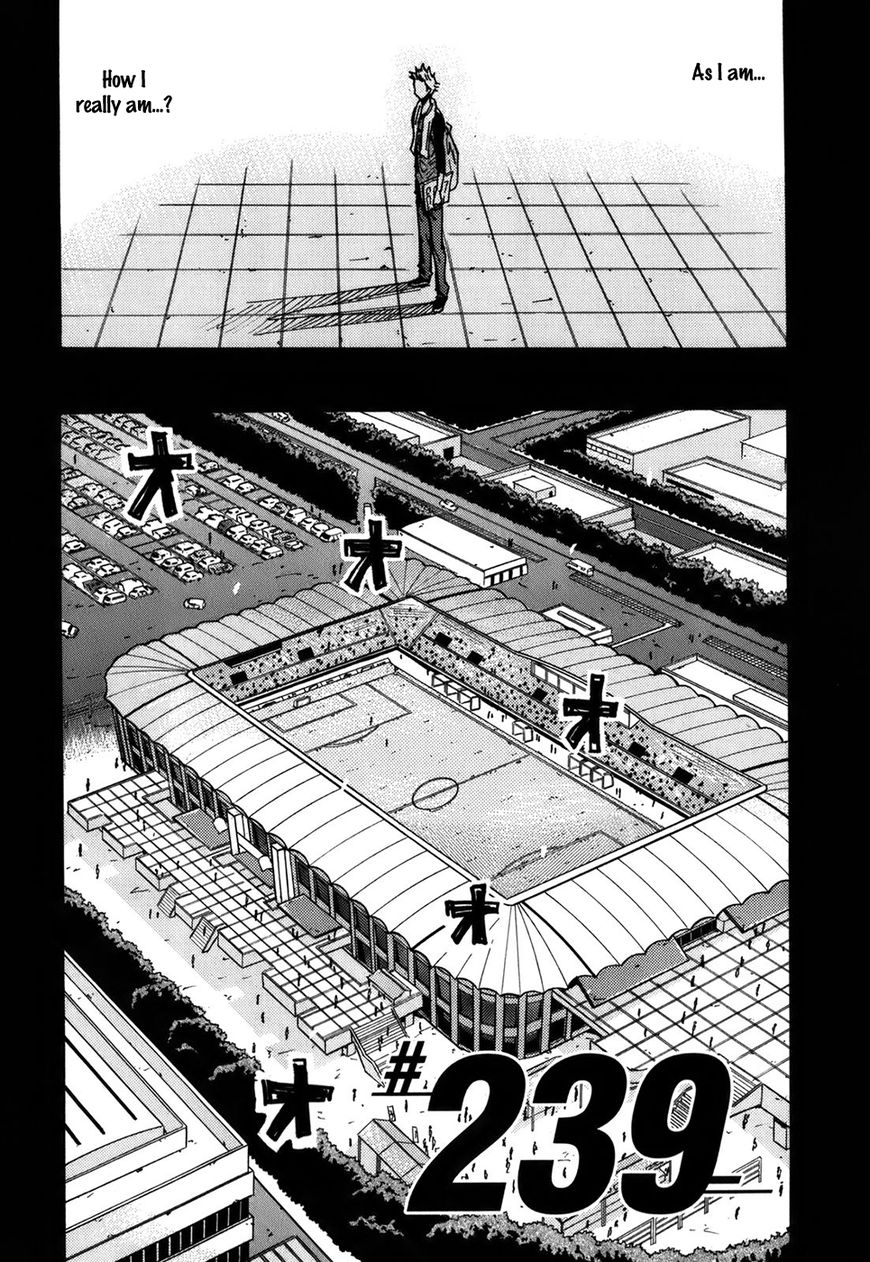 Page 33 of Chapter 238