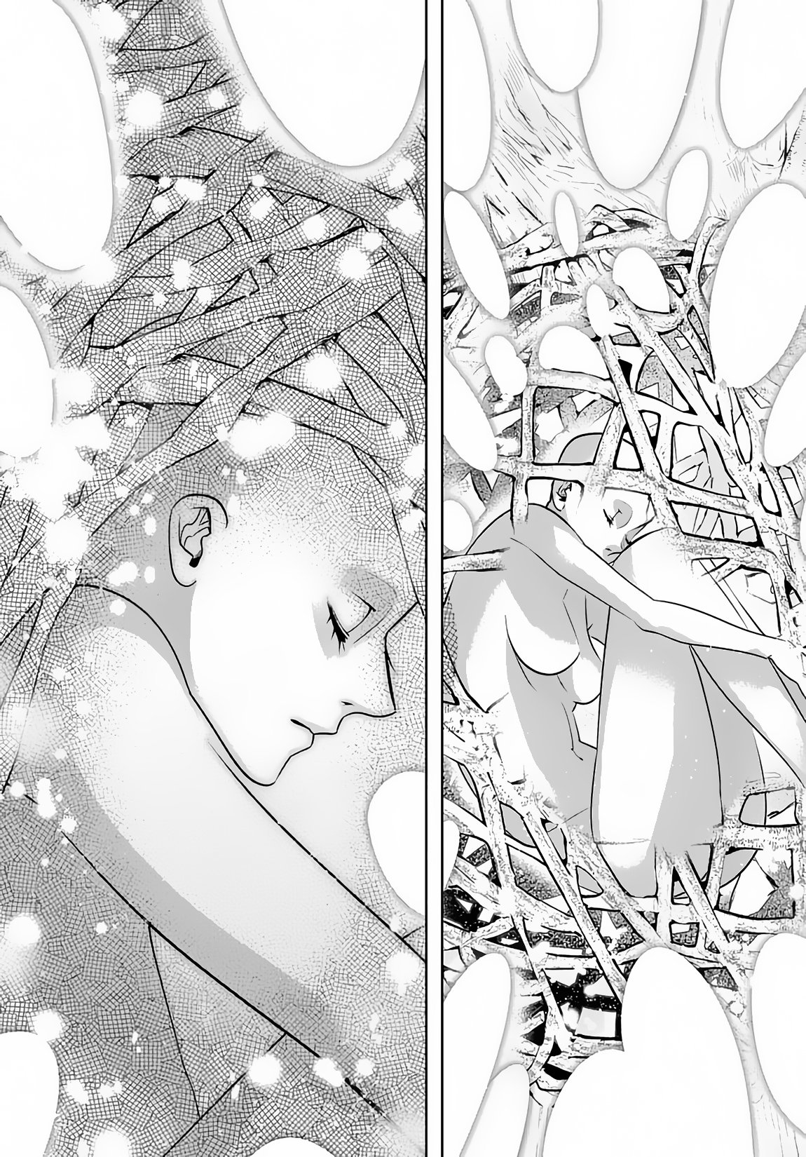 Page 14 of Chapter 10