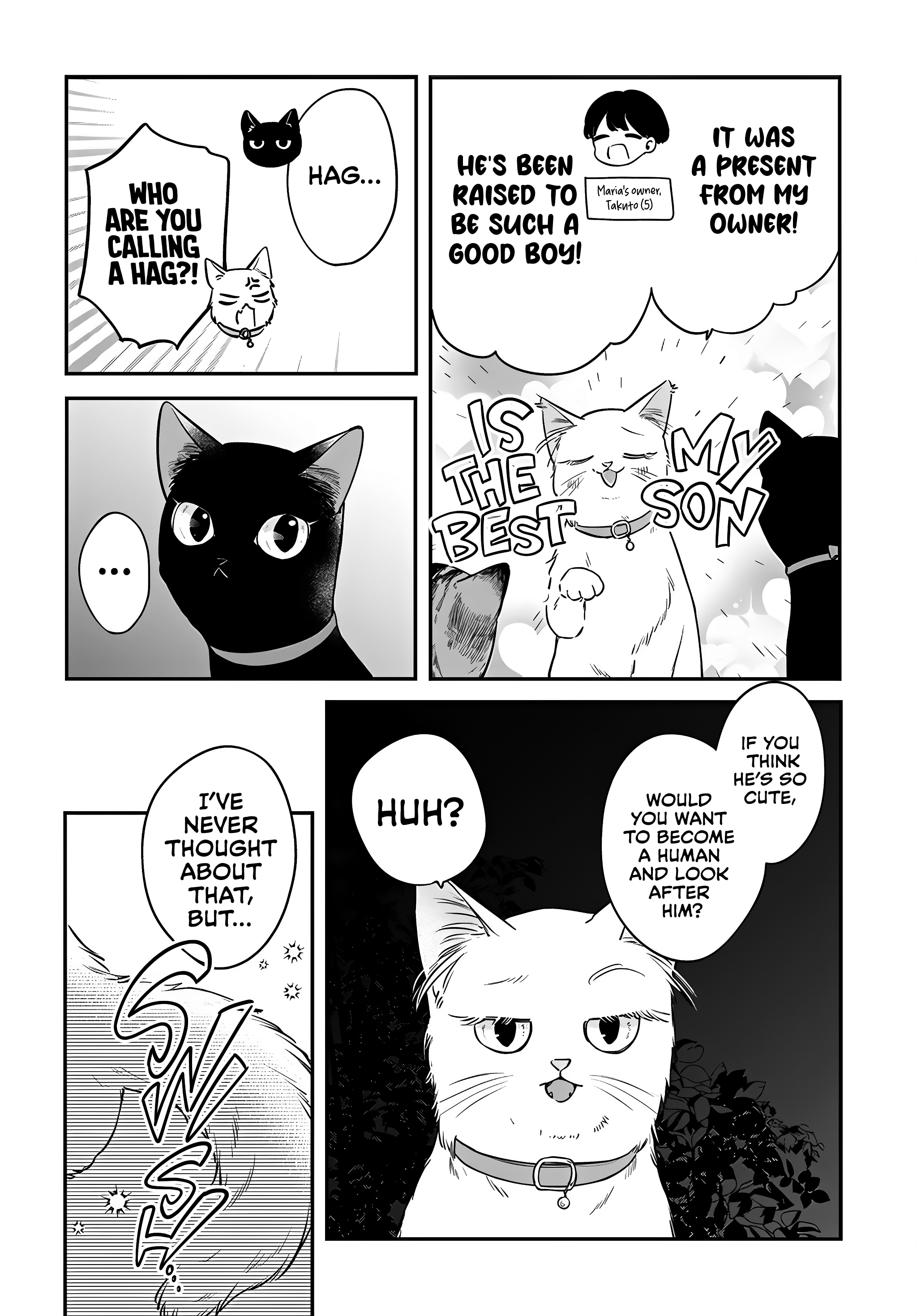 Page 2 of Chapter 17