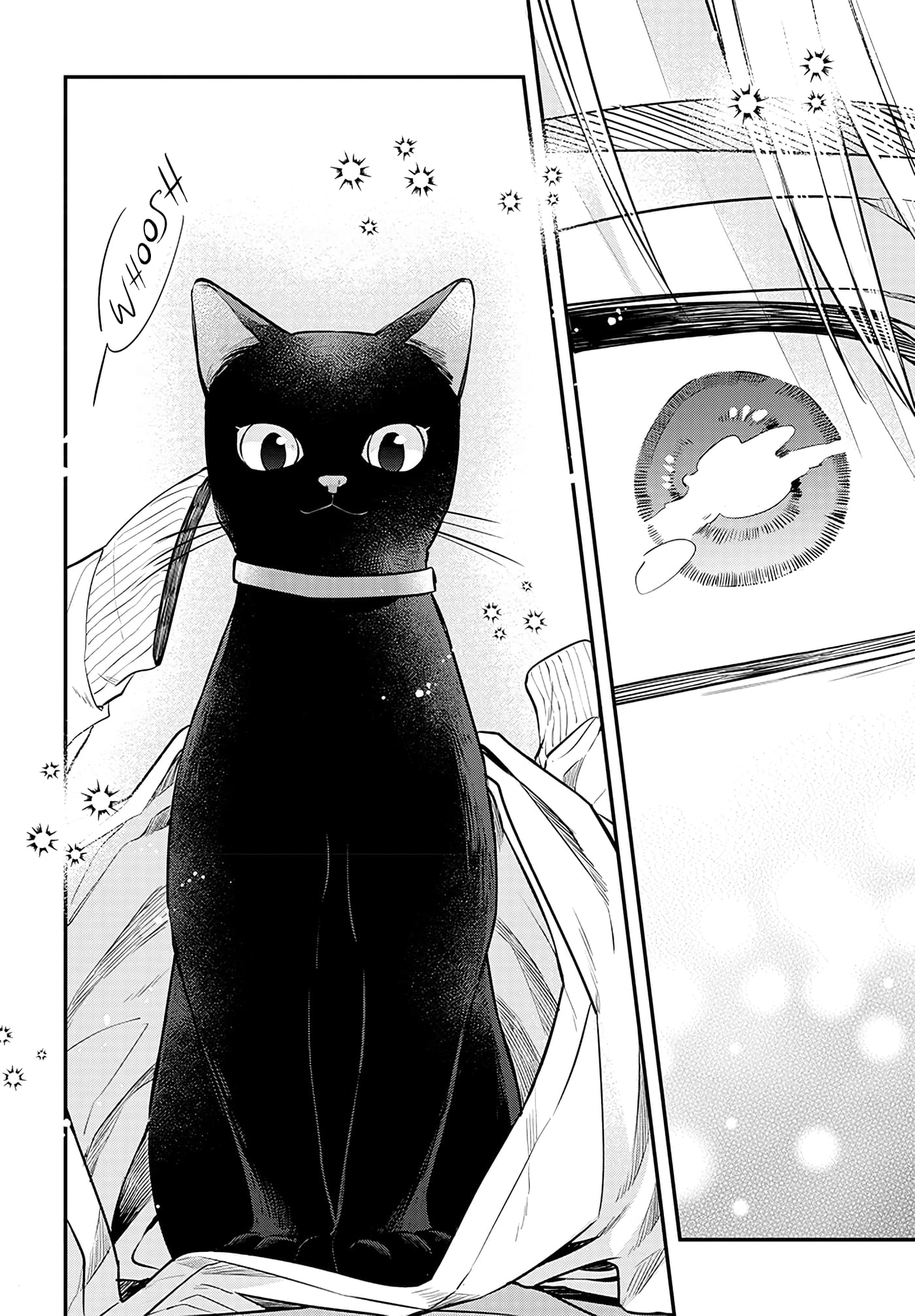 Page 29 of Chapter 2