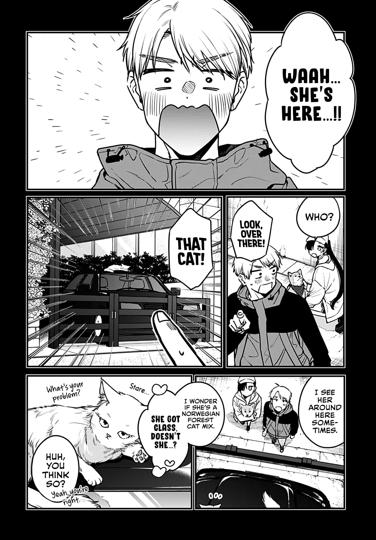 Page 4 of Chapter 5