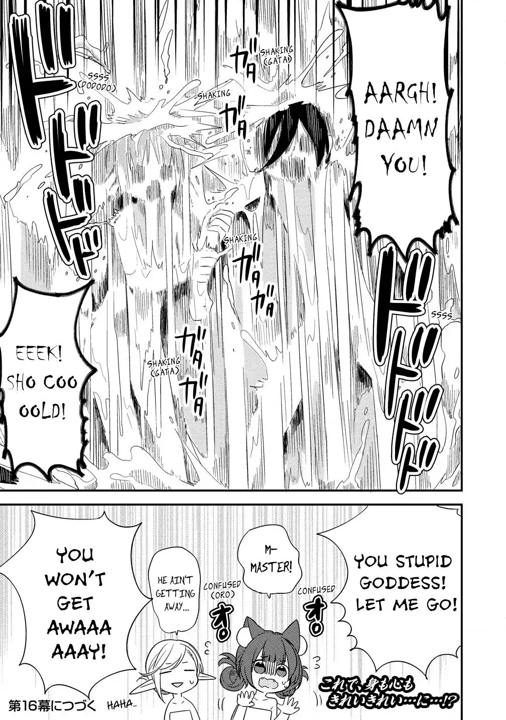 Page 17 of Chapter 15