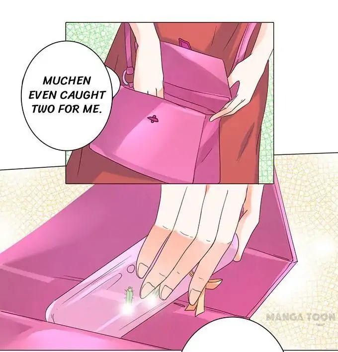 Page 24 of Chapter 17
