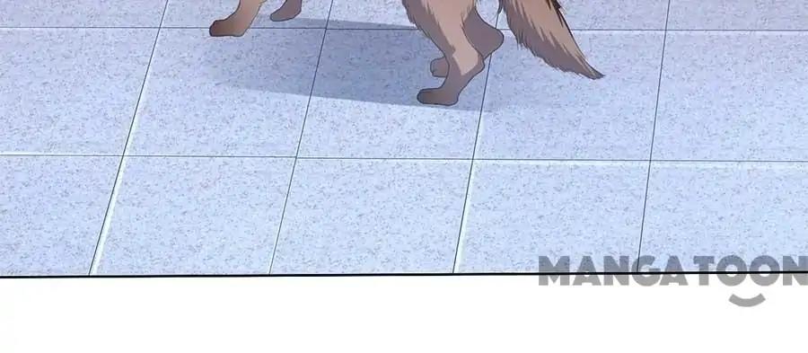 Page 12 of Chapter 191