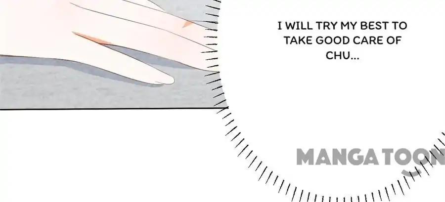 Page 13 of Chapter 205