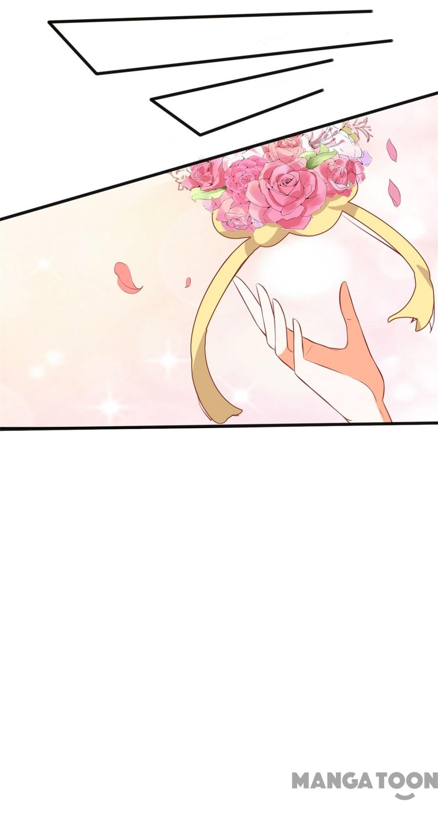 Page 31 of Chapter 254
