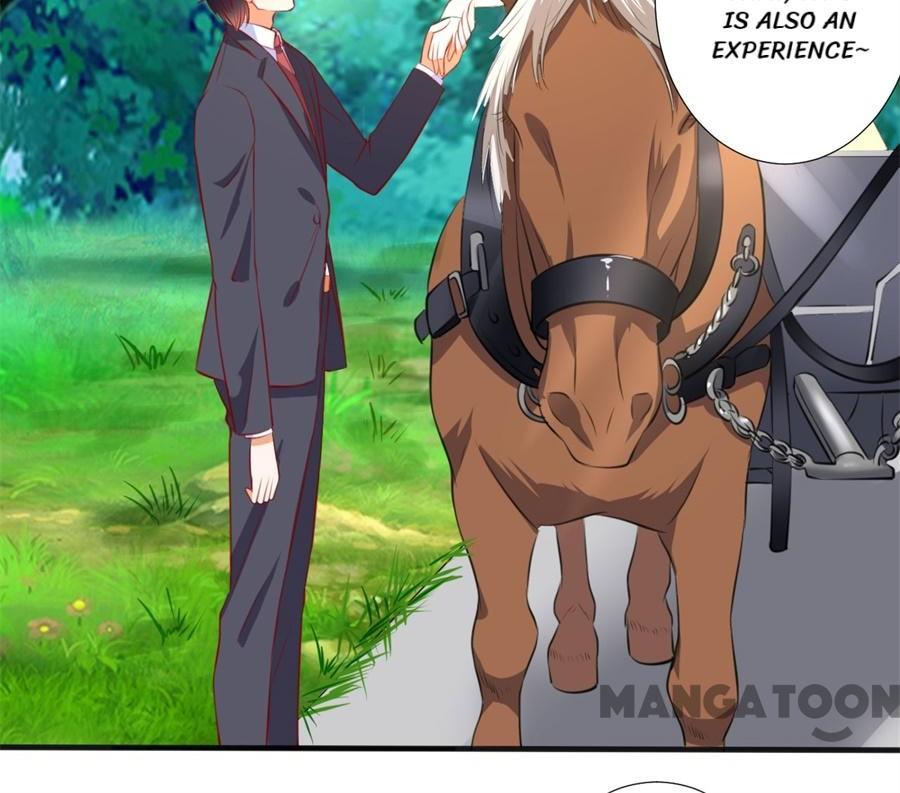 Page 25 of Chapter 255