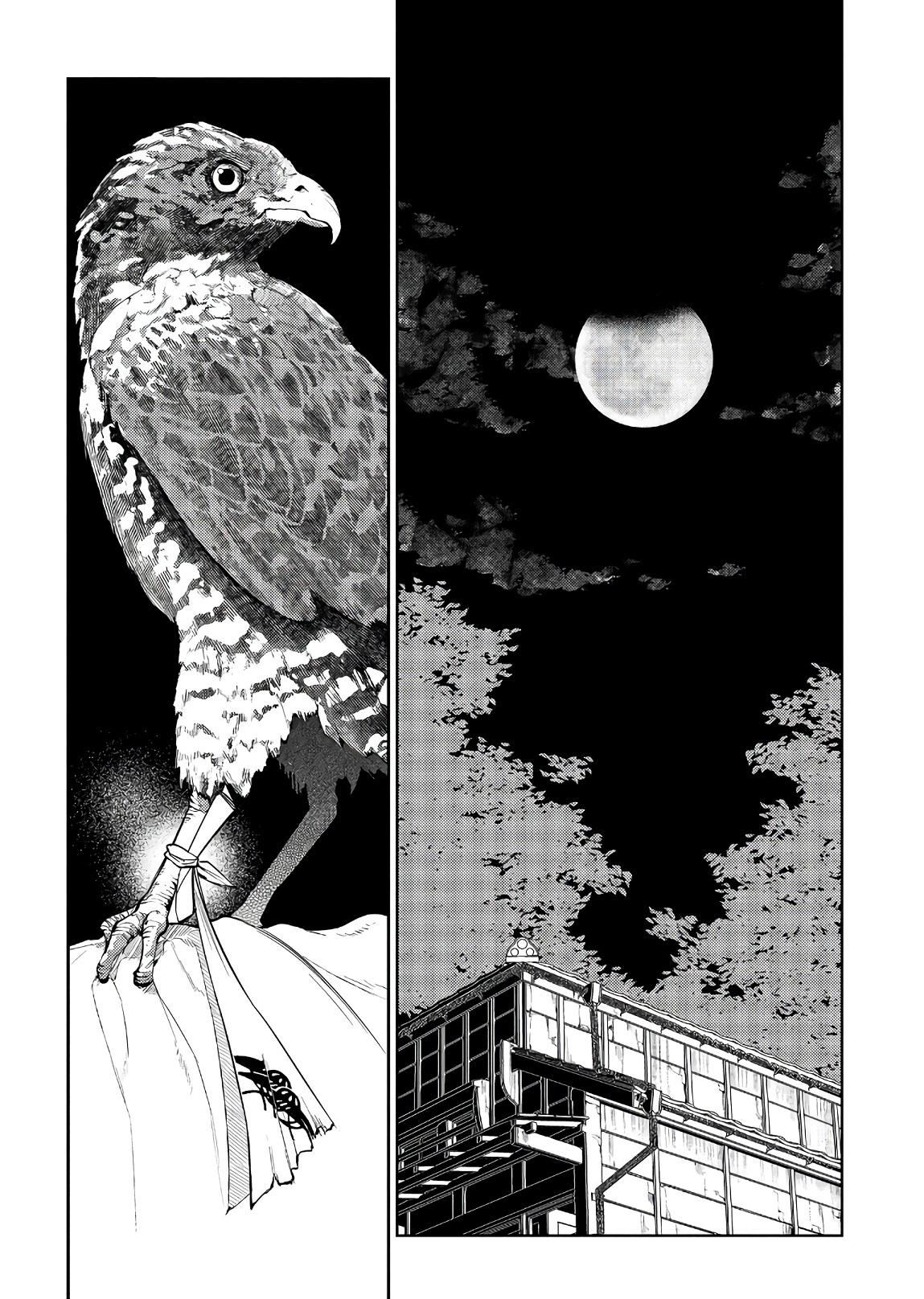 Page 6 of Chapter 48