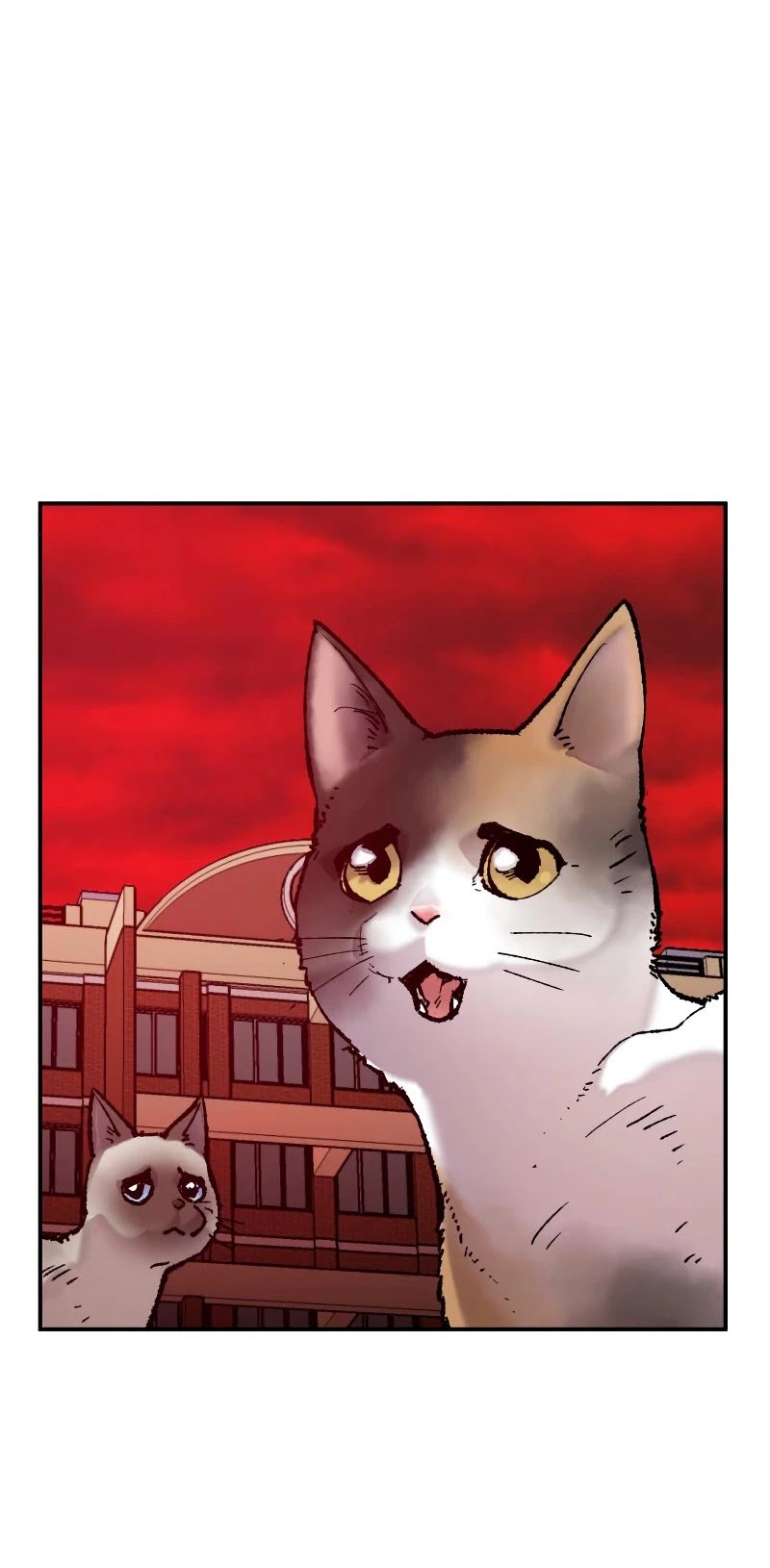Page 35 of Chapter 41