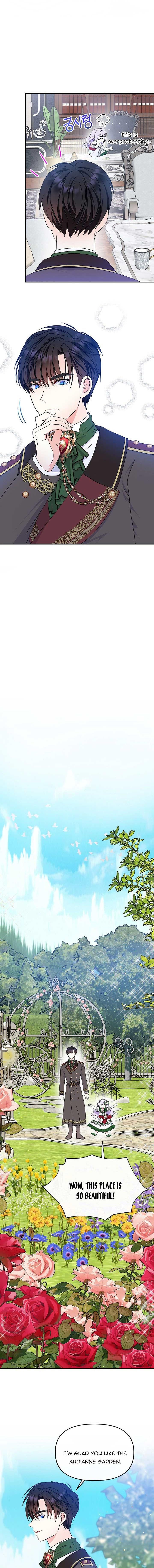 Page 14 of Chapter 29
