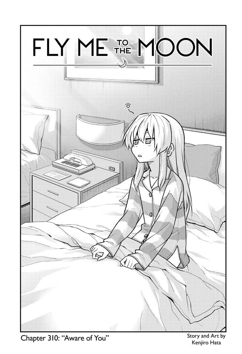 Page 2 of Chapter 310