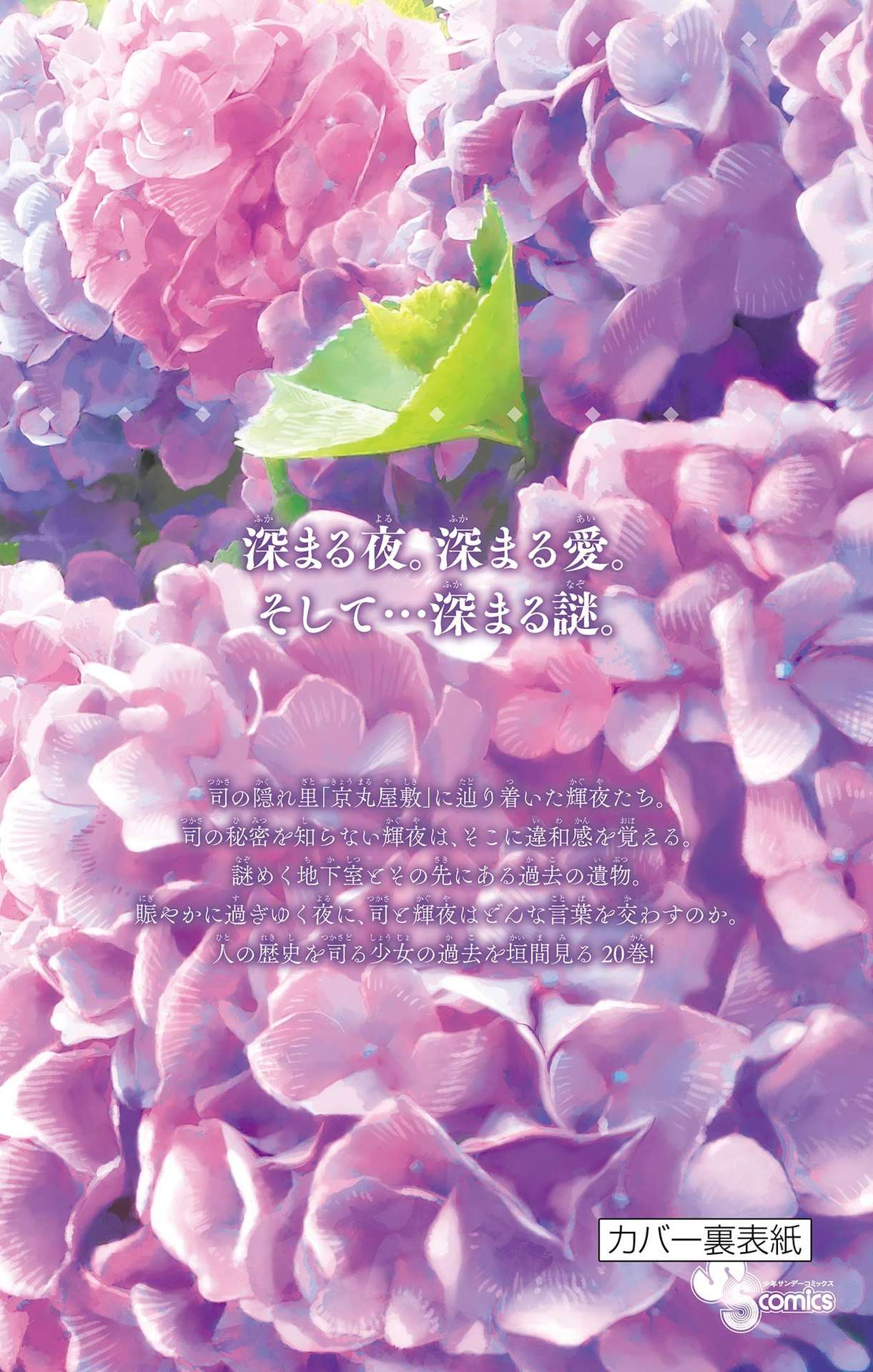 Page 20 of Chapter 333.5