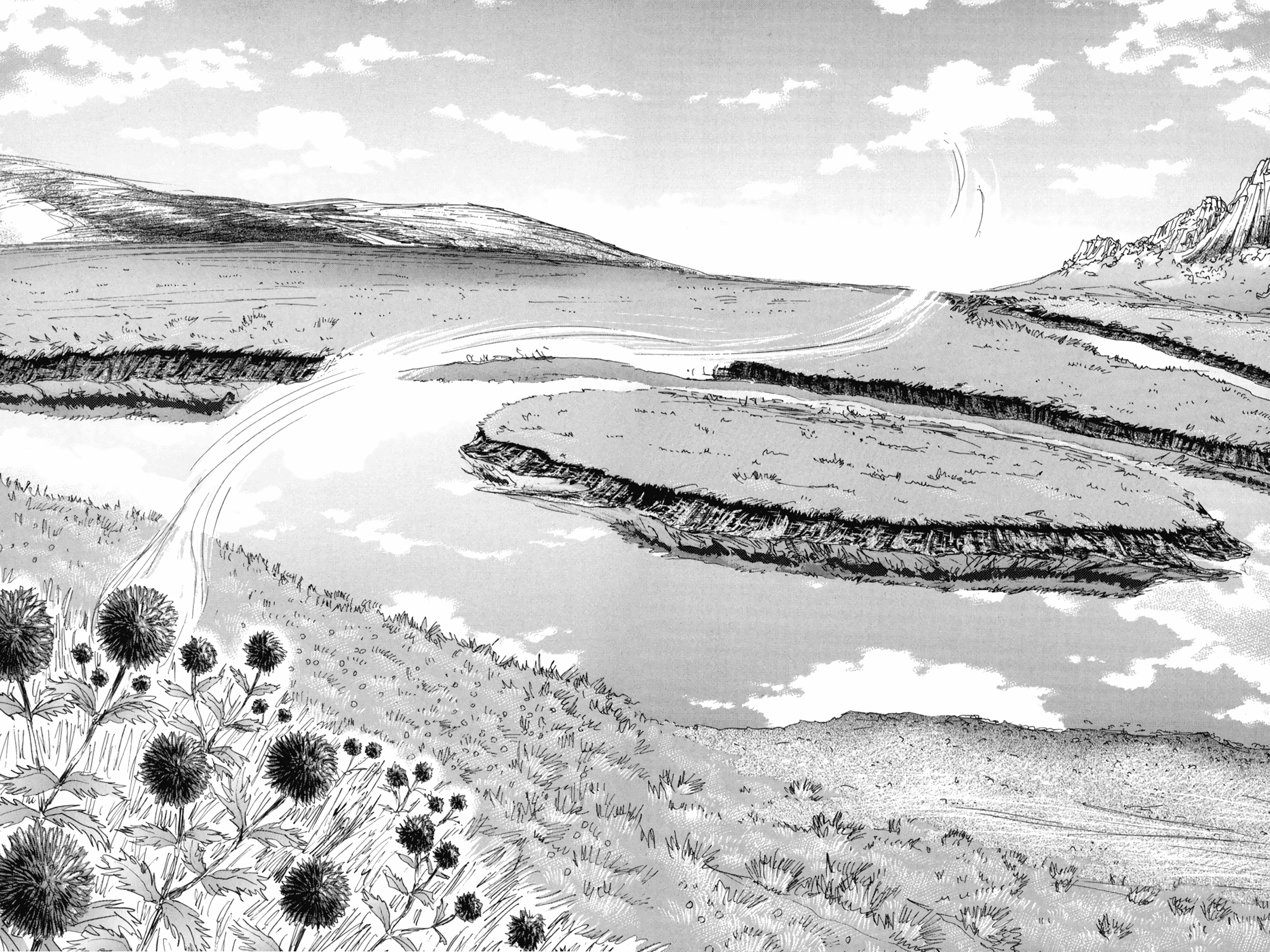 Page 11 of Chapter 14