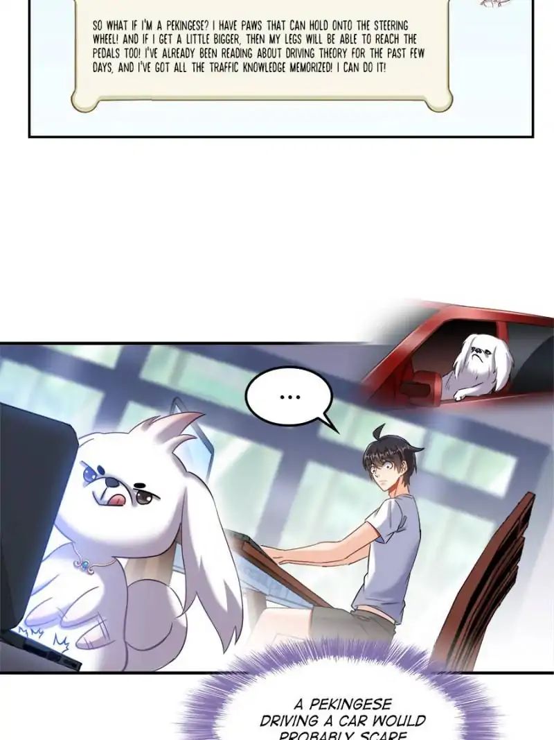 Page 11 of Chapter 123