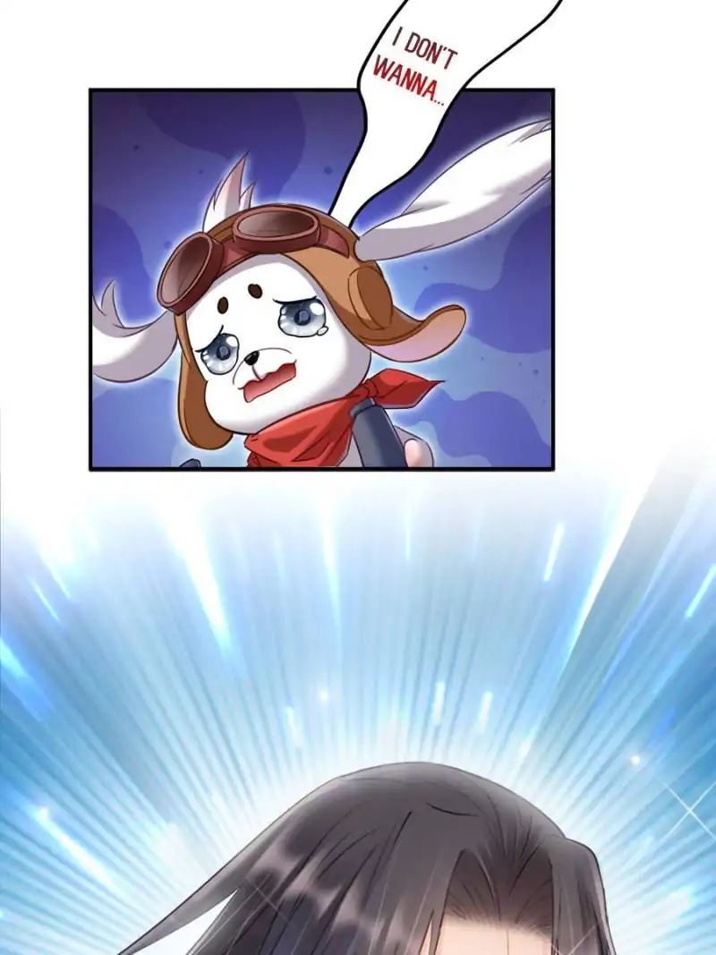 Page 5 of Chapter 135