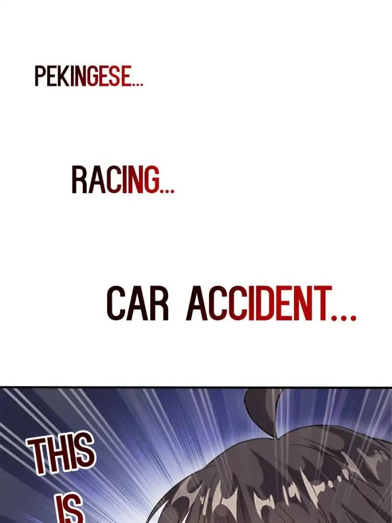 Page 41 of Chapter 141