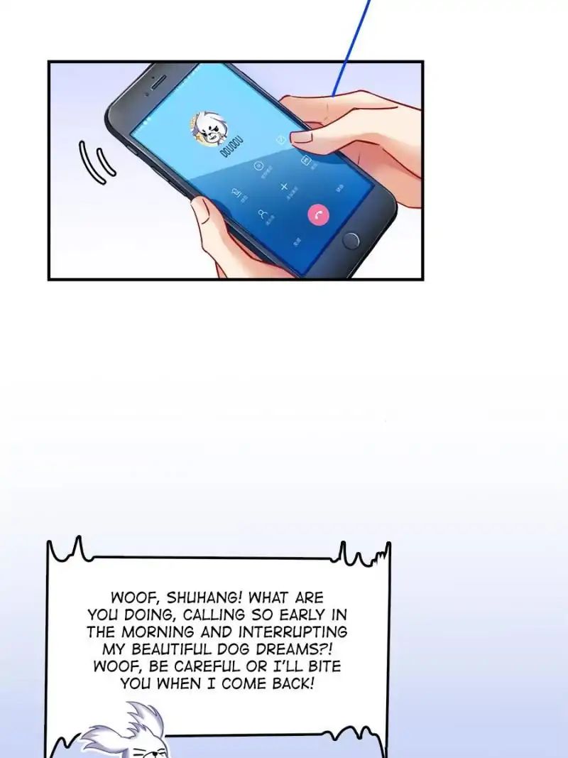 Page 43 of Chapter 141