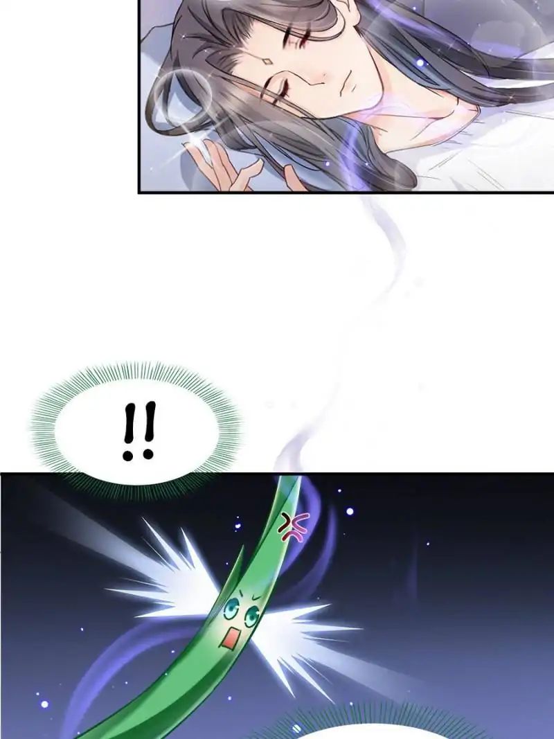 Page 33 of Chapter 151