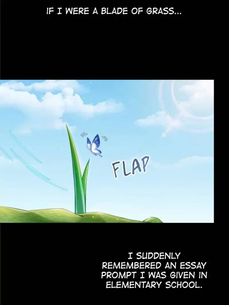 Page 13 of Chapter 152.2