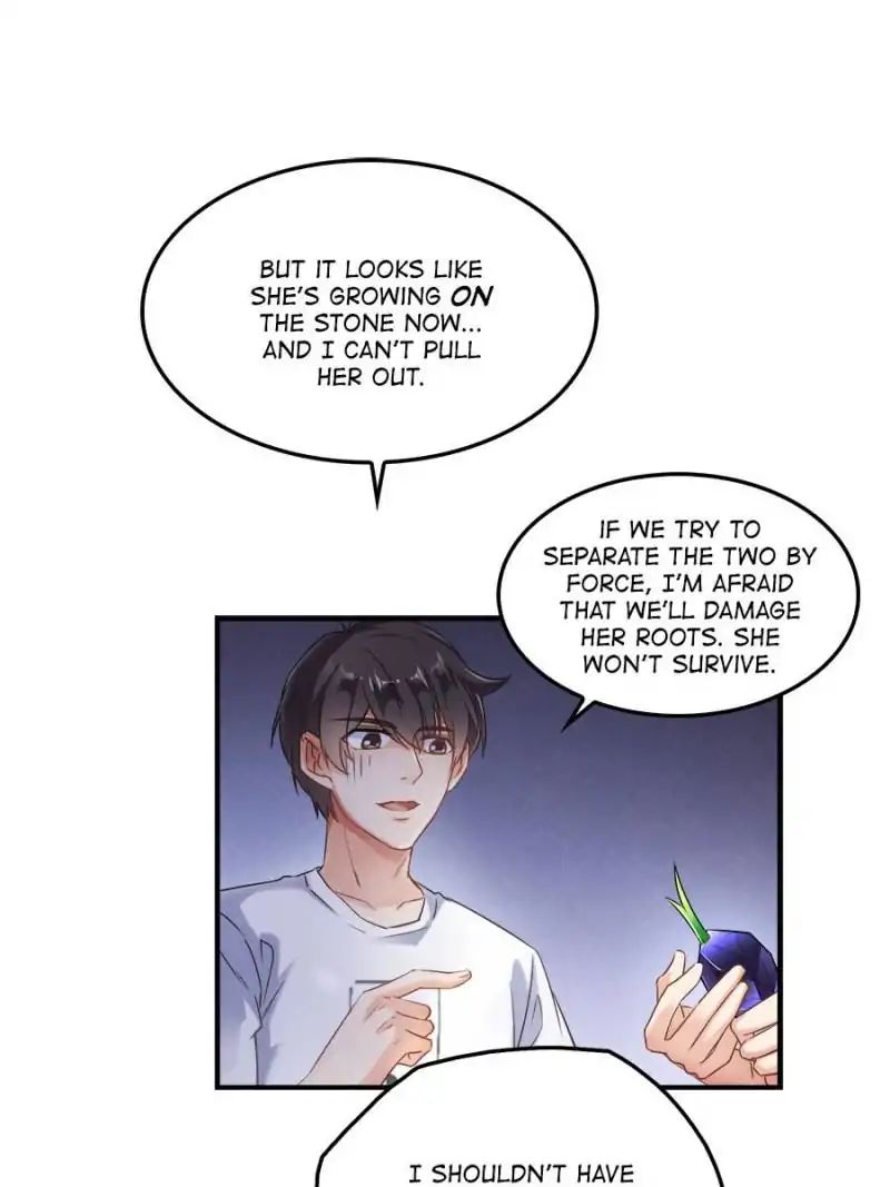 Page 41 of Chapter 164