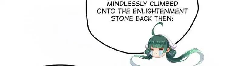 Page 42 of Chapter 164
