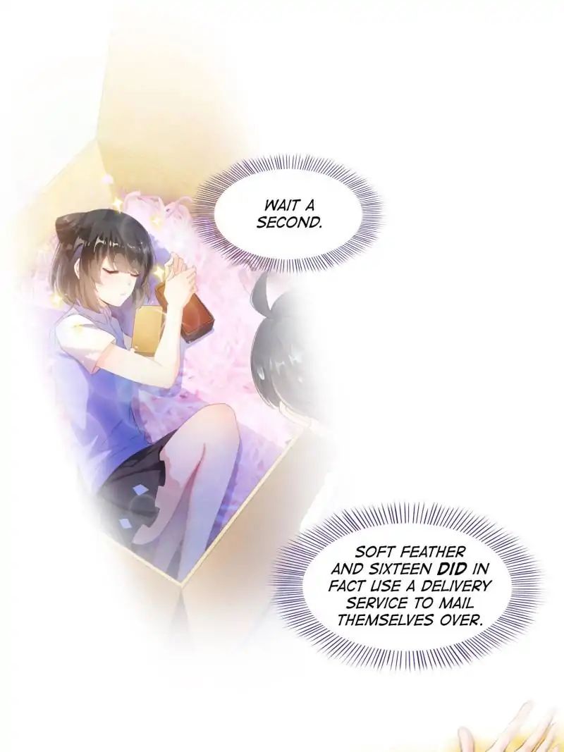 Page 17 of Chapter 165