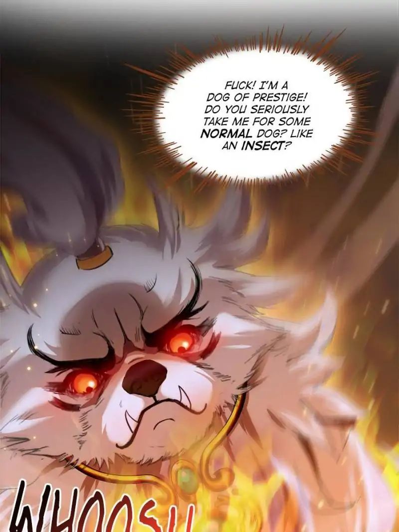 Page 44 of Chapter 167