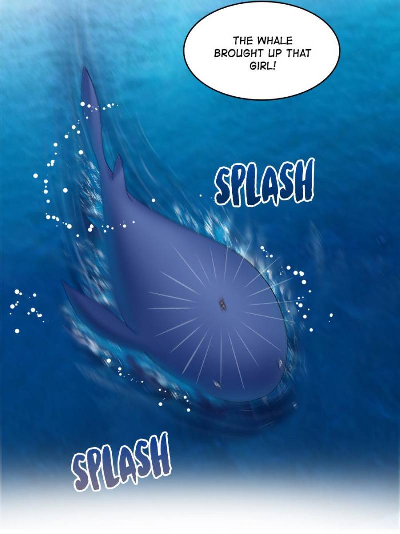 Page 55 of Chapter 203