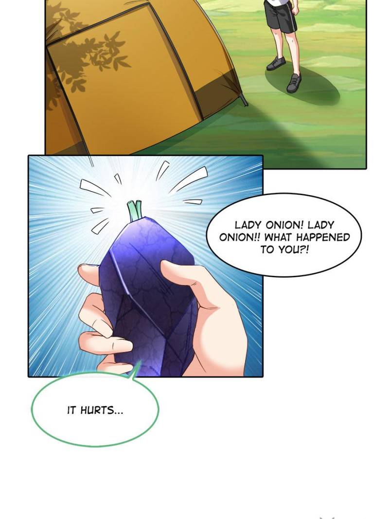 Page 65 of Chapter 207