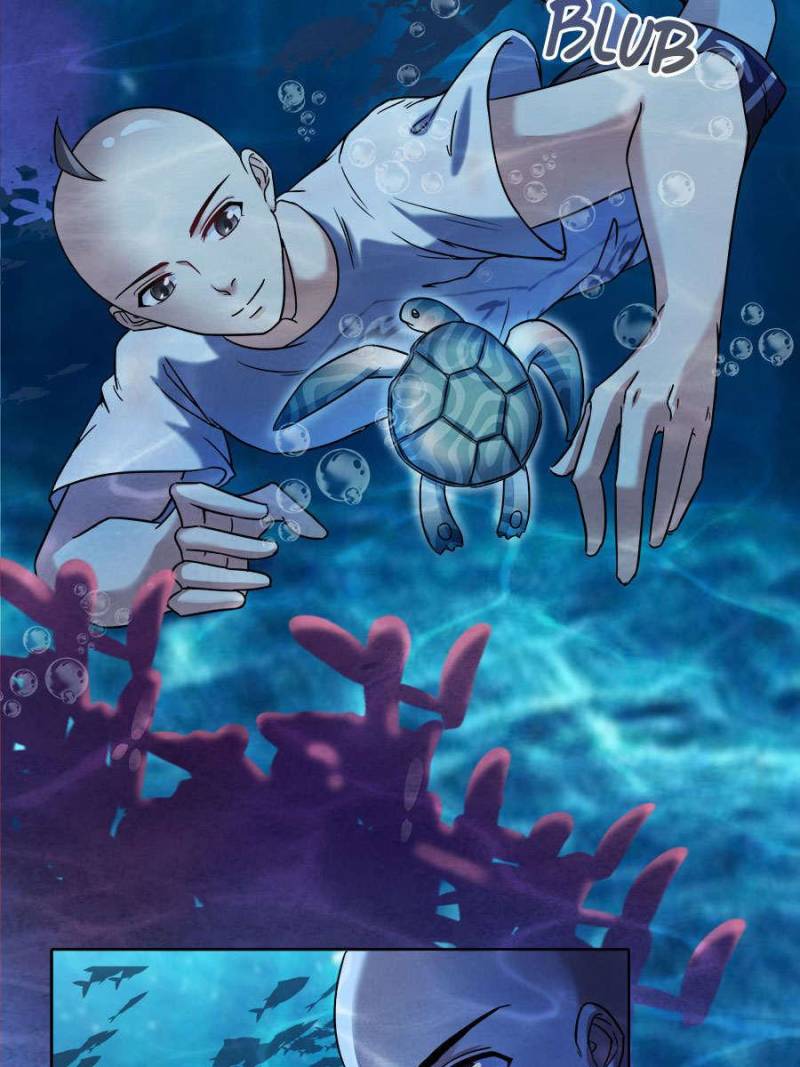 Page 31 of Chapter 215