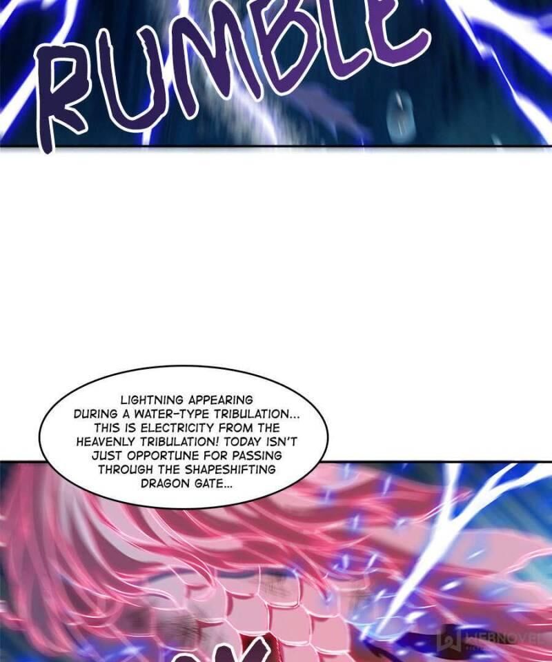 Page 14 of Chapter 217