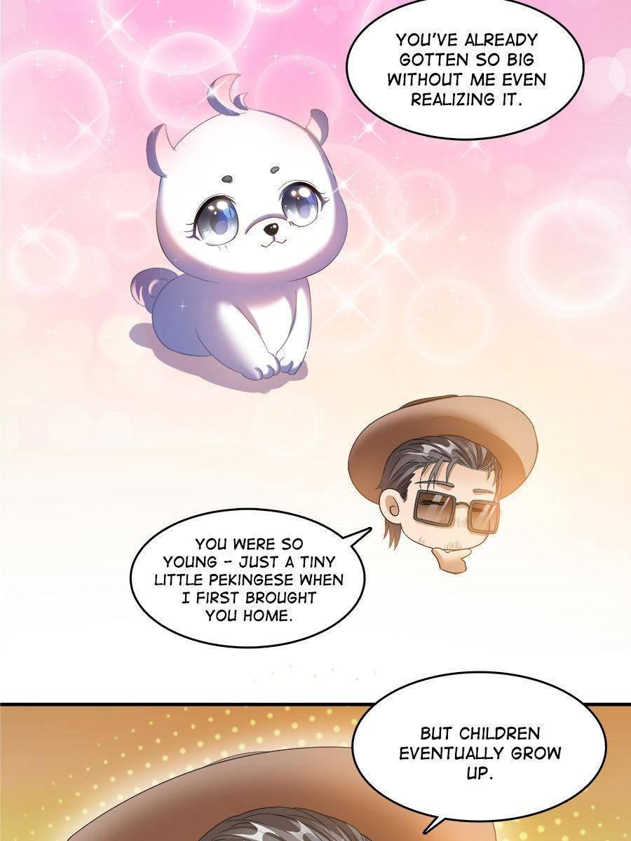 Page 35 of Chapter 254