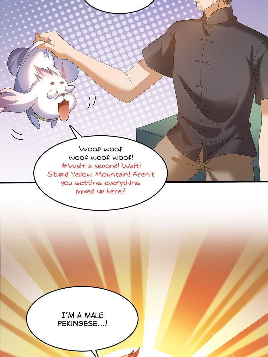 Page 38 of Chapter 254