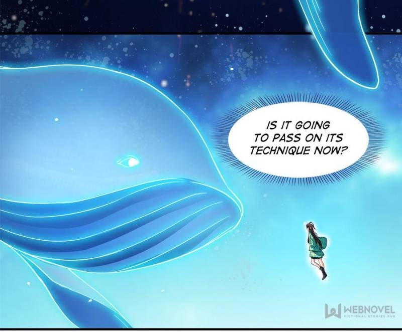 Page 46 of Chapter 284
