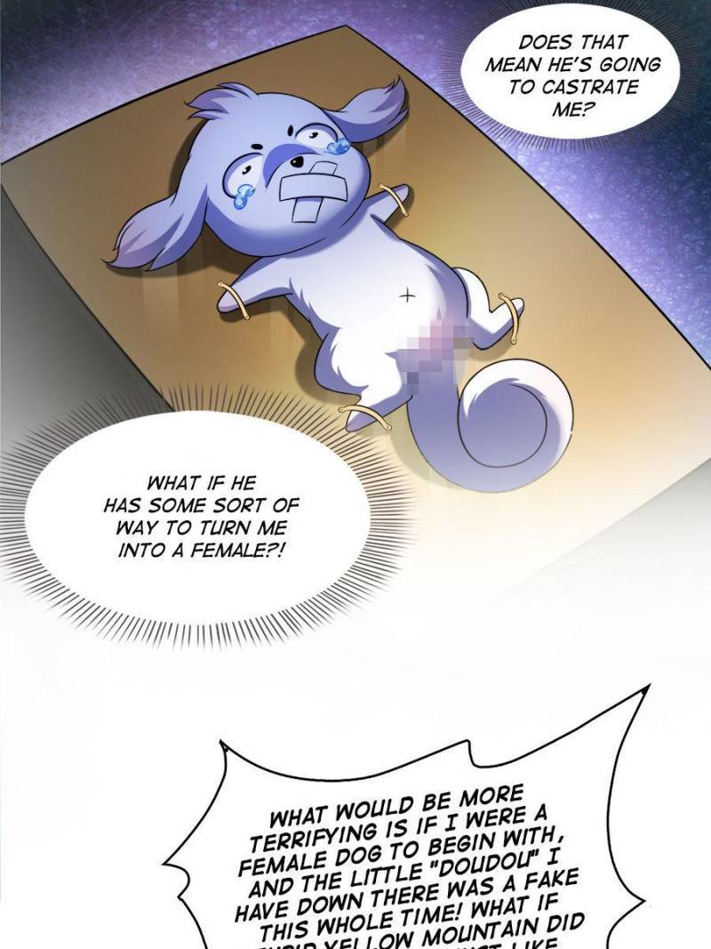 Page 33 of Chapter 325