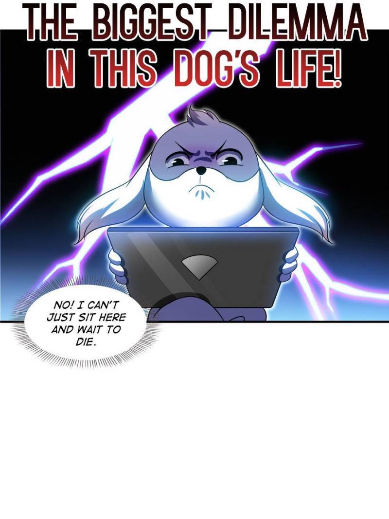 Page 35 of Chapter 325