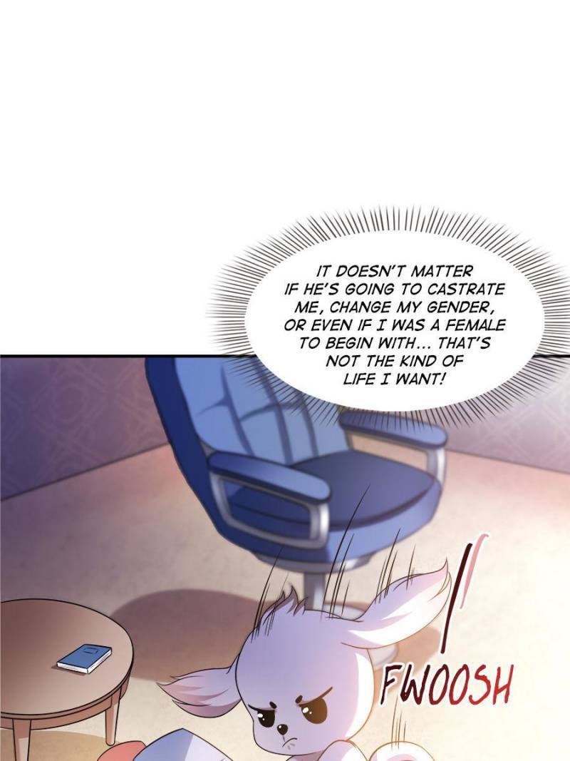 Page 36 of Chapter 325