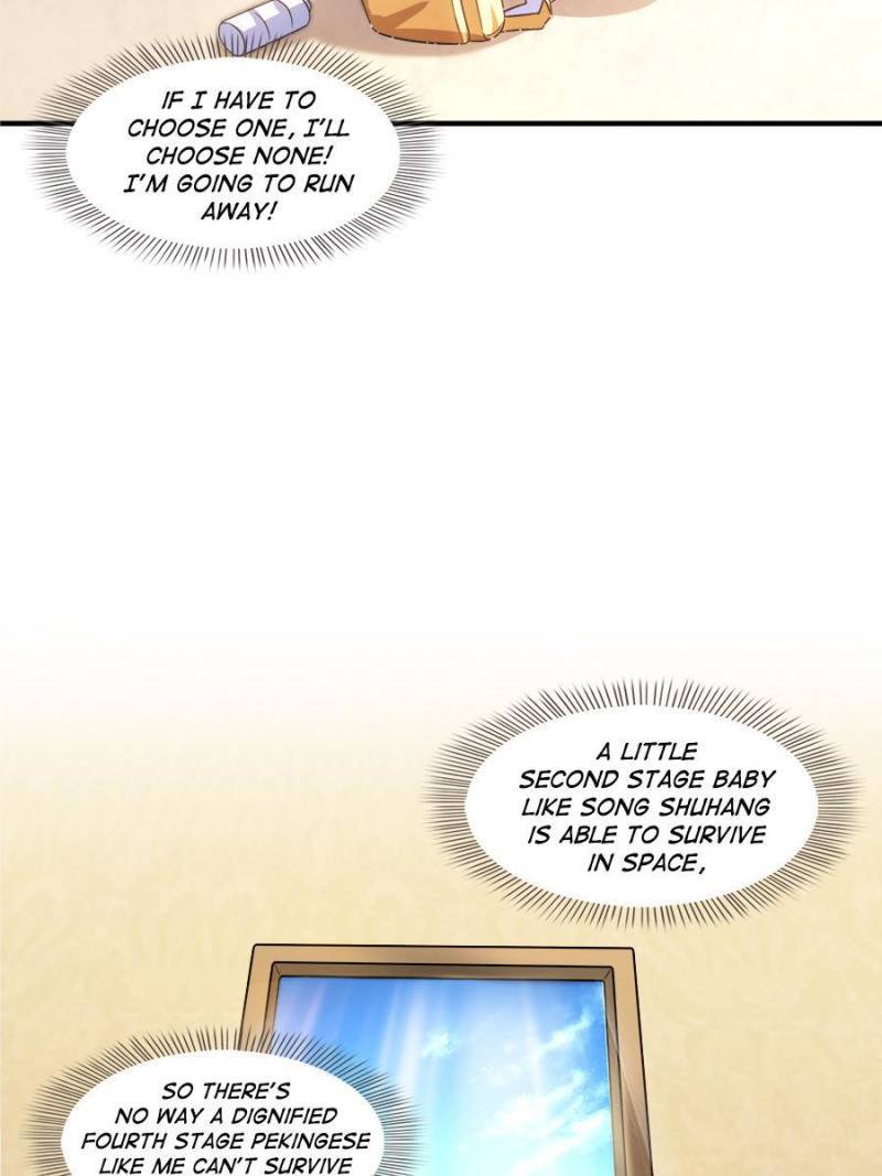 Page 38 of Chapter 325