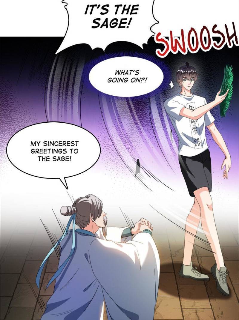 Page 43 of Chapter 364